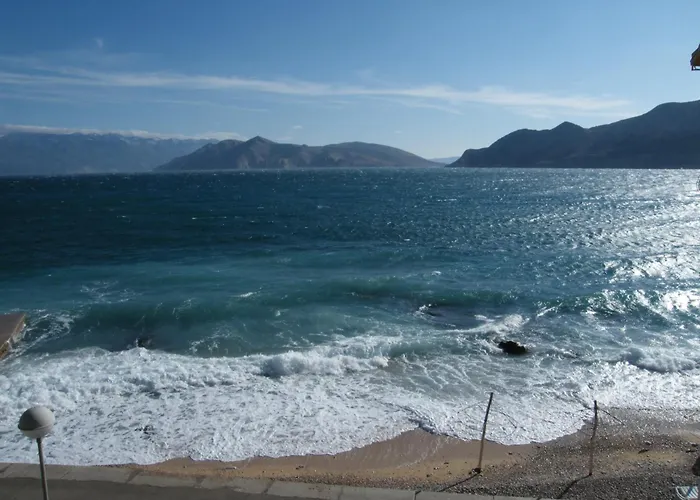 Flora מאלינסקה